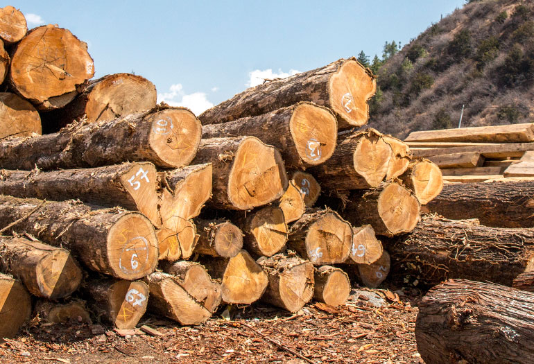 bagaimana cara menghitung kubikasi kayu, cara kubikasi kayu balok, cara kubikasi kayu gelondongan