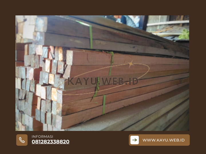 Harga Kayu Kruing Terbaru Faktor yang Mempengaruhi dan Prediksi Tren