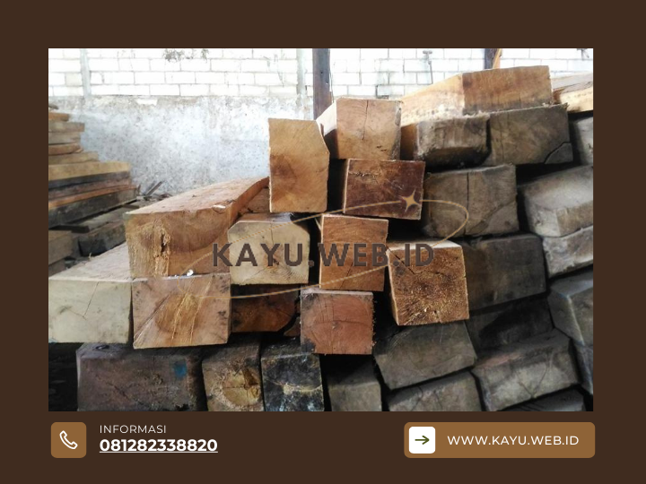 Kayu Racuk Ciri Khas, Kekuatan, dan Keunggulannya dalam Konstruksi
