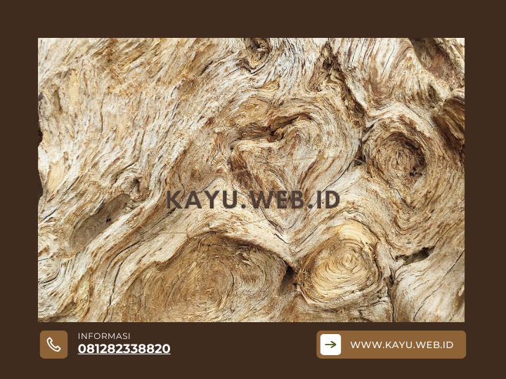 Mengenal 3 Jenis Kayu Bengkirai & Aplikasi Terbaik untuk Setiap Varian