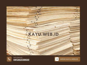7 Rahasia Memilih Supplier Triplek Jakarta yang Garansi Kualitasnya!