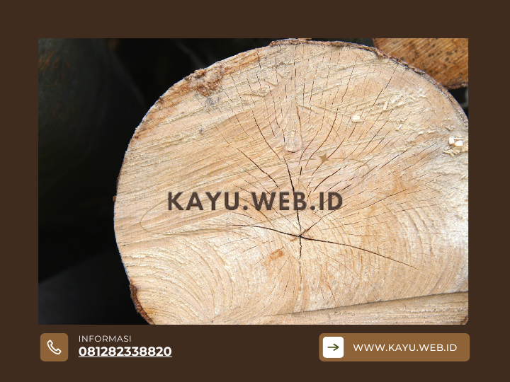 Waspada! 5 Tanda Supplier Kayu Kruing Jakarta Tidak Terpercaya ⚠️