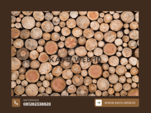 Analisis Jujur Kekurangan Kayu Bengkirai yang Sering Terlupakan