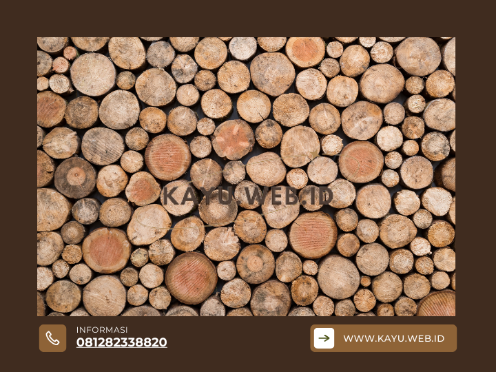 Analisis Jujur Kekurangan Kayu Bengkirai yang Sering Terlupakan