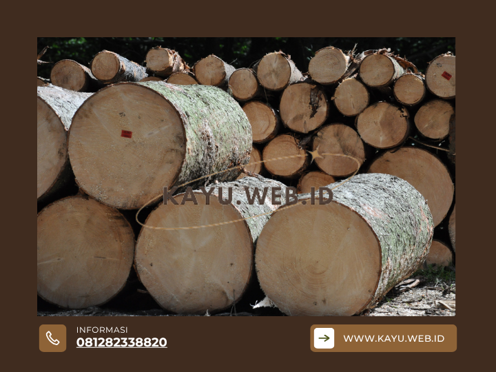 Kayu Bengkirai vs Kayu Merbau Panduan Komprehensif untuk Memilih yang Terbaik