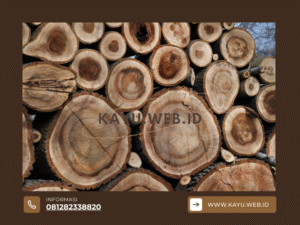 Mana Lebih Murah Kayu Bengkirai vs Kayu Ulin untuk Konstruksi