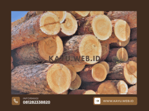 Menaklukkan Lembab Analisis Mendalam Kecocokan Kayu Bengkirai untuk Lingkungan Tropis Indonesia