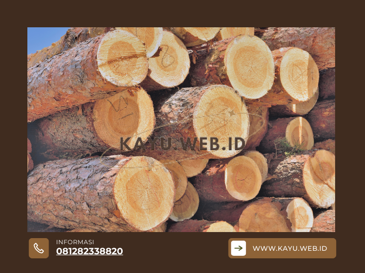 Menaklukkan Lembab Analisis Mendalam Kecocokan Kayu Bengkirai untuk Lingkungan Tropis Indonesia