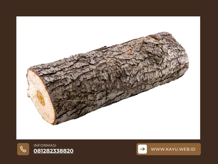 Kayu Bengkirai vs Kayu Kamper Mana yang Lebih Unggul
