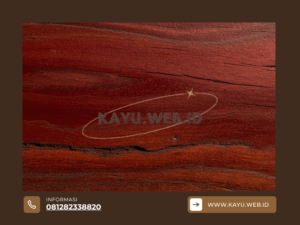 7 Kelebihan Fantastis Kayu Meranti yang Membuatnya Juara untuk Furniture & Konstruksi Rumah Anda