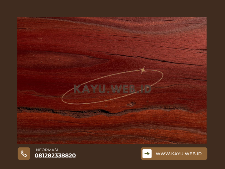 7 Kelebihan Fantastis Kayu Meranti yang Membuatnya Juara untuk Furniture & Konstruksi Rumah Anda